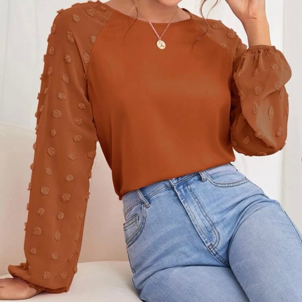 NWOT - super cute rust colored shirt with sheer ballon sleeved